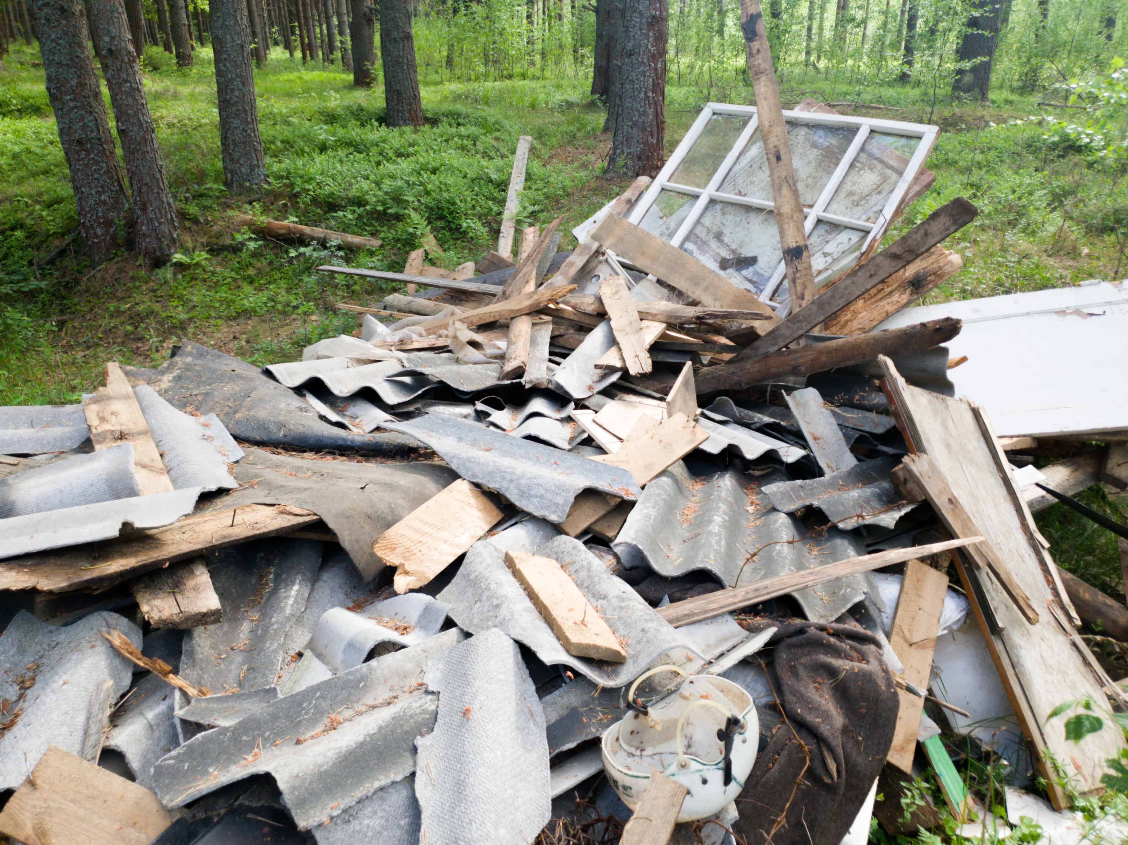 Trash Out / Junk Removal image