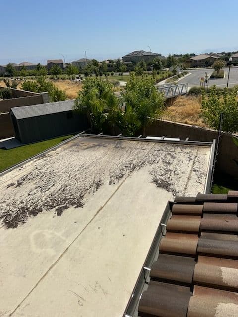 Expert Roof and Solar Panel Cleaning
